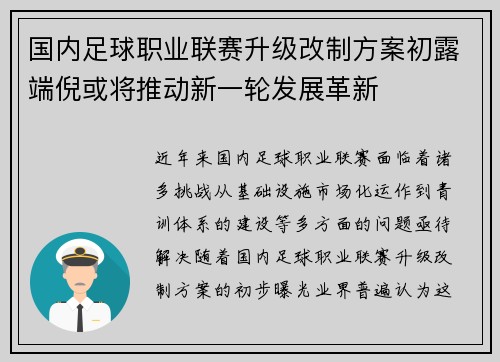 国内足球职业联赛升级改制方案初露端倪或将推动新一轮发展革新
